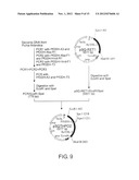 RECOMBINANT MICROORGANISMS WITH 1,3-BUTANEDIOL-PRODUCING FUNCTION AND USES     THEREOF diagram and image