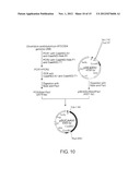 RECOMBINANT MICROORGANISMS WITH 1,3-BUTANEDIOL-PRODUCING FUNCTION AND USES     THEREOF diagram and image