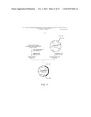 RECOMBINANT MICROORGANISMS WITH 1,3-BUTANEDIOL-PRODUCING FUNCTION AND USES     THEREOF diagram and image