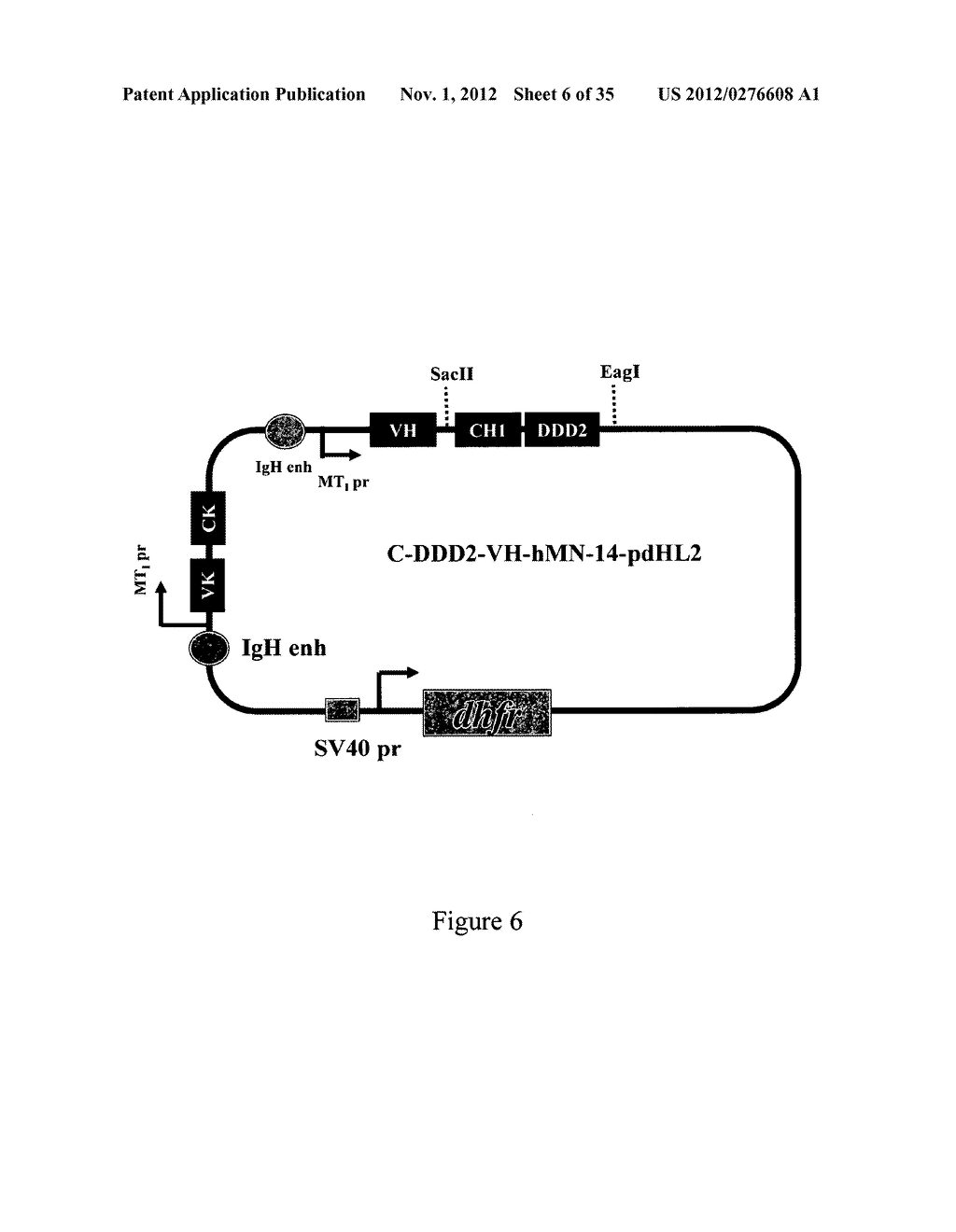 Multivalent Immunoglobulin-Based Bioactive Assemblies - diagram, schematic, and image 07