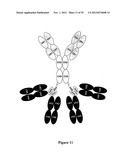 Multivalent Immunoglobulin-Based Bioactive Assemblies diagram and image