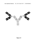 Multivalent Immunoglobulin-Based Bioactive Assemblies diagram and image