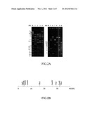 PHAGE OF ACINETOBACTER BAUMANNII diagram and image