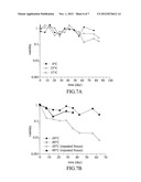 PHAGE OF ACINETOBACTER BAUMANNII diagram and image