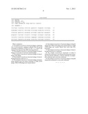 PHAGE OF ACINETOBACTER BAUMANNII diagram and image