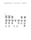 METHOD FOR PRODUCING MESENCHYMAL STEM CELLS FROM HUMAN PLURIPOTENT STEM     CELLS, AND MESENCHYMAL STEM CELLS PRODUCED BY SAME diagram and image