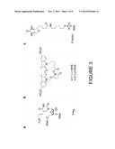 METHODS AND REAGENTS FOR ANALYZING RIBOSWITCHES USING FRET diagram and image