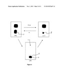 Intelligent Pigments and Plastics diagram and image