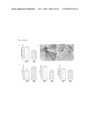 NOVEL COMPOUNDS FOR MODULATING NEOVASCULARISATION AND METHODS OF TREATMENT     USING THESE COMPOUNDS diagram and image