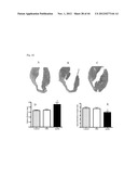 NOVEL COMPOUNDS FOR MODULATING NEOVASCULARISATION AND METHODS OF TREATMENT     USING THESE COMPOUNDS diagram and image