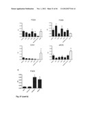 NOVEL COMPOUNDS FOR MODULATING NEOVASCULARISATION AND METHODS OF TREATMENT     USING THESE COMPOUNDS diagram and image