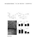 NOVEL COMPOUNDS FOR MODULATING NEOVASCULARISATION AND METHODS OF TREATMENT     USING THESE COMPOUNDS diagram and image