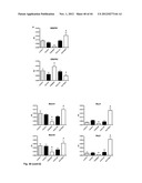 NOVEL COMPOUNDS FOR MODULATING NEOVASCULARISATION AND METHODS OF TREATMENT     USING THESE COMPOUNDS diagram and image