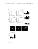 NOVEL COMPOUNDS FOR MODULATING NEOVASCULARISATION AND METHODS OF TREATMENT     USING THESE COMPOUNDS diagram and image