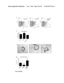 NOVEL COMPOUNDS FOR MODULATING NEOVASCULARISATION AND METHODS OF TREATMENT     USING THESE COMPOUNDS diagram and image