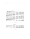 POLYPEPTIDE COMPOUNDS FOR INHIBITING ANGIOGENESIS AND TUMOR GROWTH diagram and image