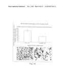 POLYPEPTIDE COMPOUNDS FOR INHIBITING ANGIOGENESIS AND TUMOR GROWTH diagram and image