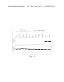 POLYPEPTIDE COMPOUNDS FOR INHIBITING ANGIOGENESIS AND TUMOR GROWTH diagram and image