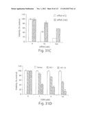 POLYPEPTIDE COMPOUNDS FOR INHIBITING ANGIOGENESIS AND TUMOR GROWTH diagram and image