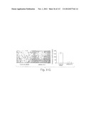 POLYPEPTIDE COMPOUNDS FOR INHIBITING ANGIOGENESIS AND TUMOR GROWTH diagram and image