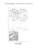 POLYPEPTIDE COMPOUNDS FOR INHIBITING ANGIOGENESIS AND TUMOR GROWTH diagram and image