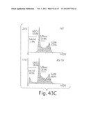 POLYPEPTIDE COMPOUNDS FOR INHIBITING ANGIOGENESIS AND TUMOR GROWTH diagram and image