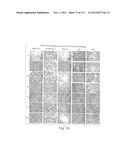 POLYPEPTIDE COMPOUNDS FOR INHIBITING ANGIOGENESIS AND TUMOR GROWTH diagram and image