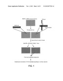 TREATING VARIOUS DISORDERS USING TRKB AGONISTS diagram and image