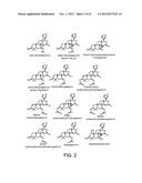 TREATING VARIOUS DISORDERS USING TRKB AGONISTS diagram and image