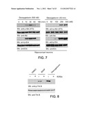 TREATING VARIOUS DISORDERS USING TRKB AGONISTS diagram and image