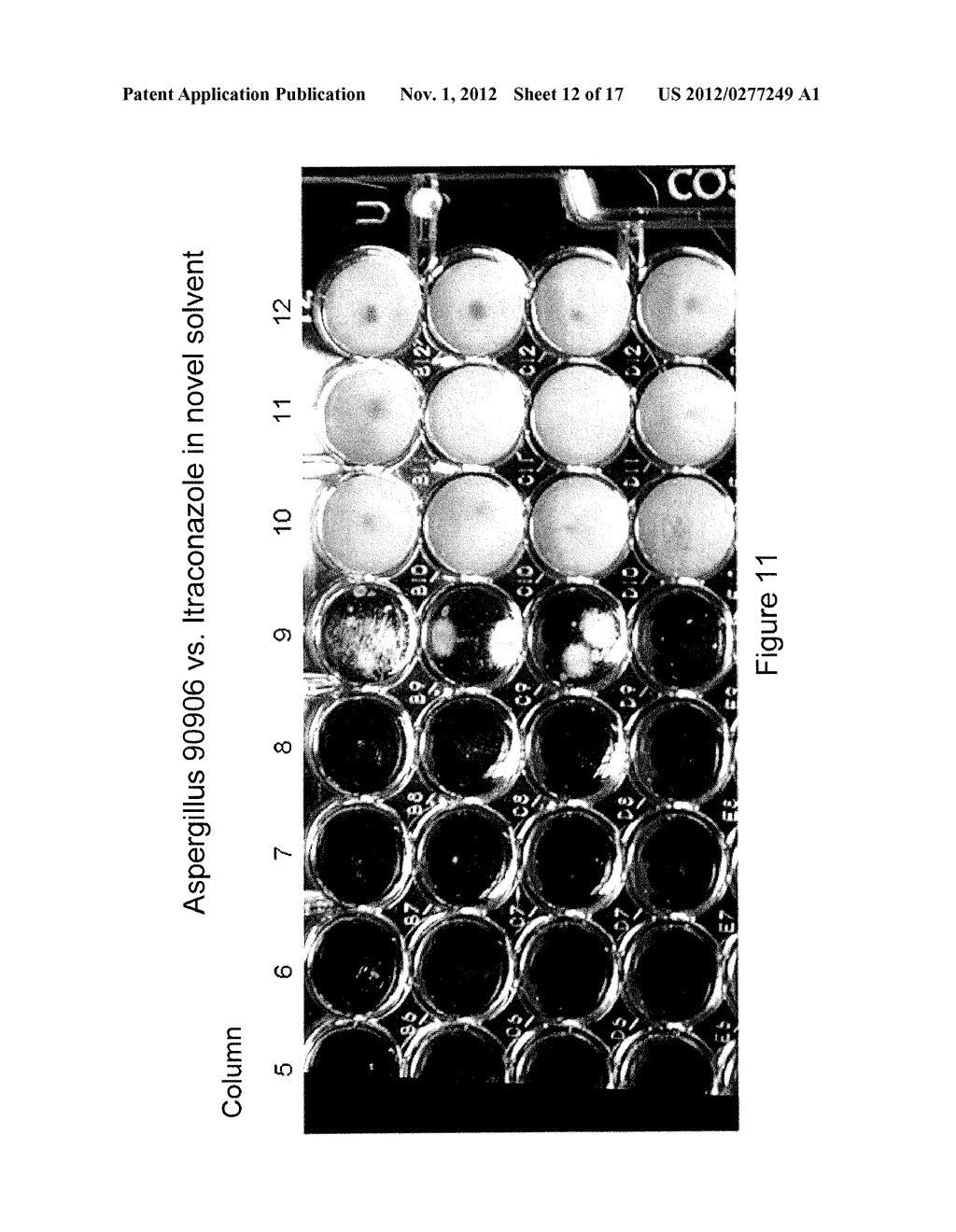 PARENTERAL FORMULATIONS OF LIPOPHILIC PHARMACEUTICAL AGENTS AND METHODS     FOR PREPARING AND USING THE SAME - diagram, schematic, and image 13