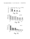 ANTISENSE OLIGONUCLEOTIDES AGAINST cPLA2, COMPOSITIONS AND USES THEREOF diagram and image