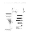 ANTISENSE OLIGONUCLEOTIDES AGAINST cPLA2, COMPOSITIONS AND USES THEREOF diagram and image