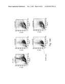 ANTISENSE OLIGONUCLEOTIDES AGAINST cPLA2, COMPOSITIONS AND USES THEREOF diagram and image