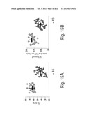 ANTISENSE OLIGONUCLEOTIDES AGAINST cPLA2, COMPOSITIONS AND USES THEREOF diagram and image