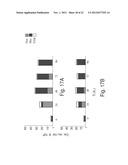 ANTISENSE OLIGONUCLEOTIDES AGAINST cPLA2, COMPOSITIONS AND USES THEREOF diagram and image