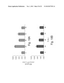 ANTISENSE OLIGONUCLEOTIDES AGAINST cPLA2, COMPOSITIONS AND USES THEREOF diagram and image