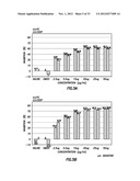 METAL-POLYSACCHARIDE CONJUGATES: COMPOSITIONS, SYNTHESIS AND METHODS FOR     CANCER THERAPY diagram and image