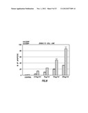 METAL-POLYSACCHARIDE CONJUGATES: COMPOSITIONS, SYNTHESIS AND METHODS FOR     CANCER THERAPY diagram and image