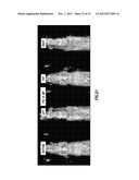 METAL-POLYSACCHARIDE CONJUGATES: COMPOSITIONS, SYNTHESIS AND METHODS FOR     CANCER THERAPY diagram and image