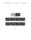 Methods of Improving Detectors and Classifiers Using Optimized Stochastic     Resonance Noise diagram and image