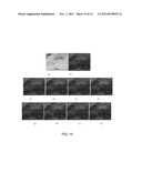 Methods of Improving Detectors and Classifiers Using Optimized Stochastic     Resonance Noise diagram and image