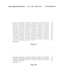 ISOLATION OF PROTEINS INVOLVED IN POSTTRANSCRIPTIONAL GENE SILENCING AND     METHODS OF USE diagram and image