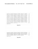 ISOLATION OF PROTEINS INVOLVED IN POSTTRANSCRIPTIONAL GENE SILENCING AND     METHODS OF USE diagram and image