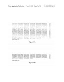 ISOLATION OF PROTEINS INVOLVED IN POSTTRANSCRIPTIONAL GENE SILENCING AND     METHODS OF USE diagram and image