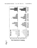 SHINE CLADE OF TRANSCRIPTION FACTORS AND THEIR USE diagram and image