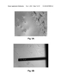 Ultra-Low Damping Imaging Mode Related to Scanning Probe Microscopy in     Liquid diagram and image