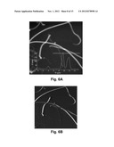 Ultra-Low Damping Imaging Mode Related to Scanning Probe Microscopy in     Liquid diagram and image