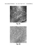 Ultra-Low Damping Imaging Mode Related to Scanning Probe Microscopy in     Liquid diagram and image