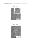 COMPOSITION FOR FORMING STRETCHABLE CONDUCTIVE PATTERN, METHOD OF     PRODUCING THE STRETCHABLE CONDUCTIVE PATTERN USING THE COMPOSITION, AND     ELECTRONIC DEVICE INCLUDING STRETCHABLE CONDUCTIVE ELECTRODE diagram and image